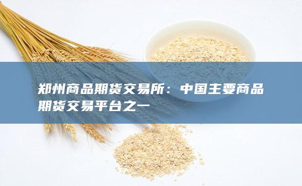 中國(guó)主要商品期貨交易平臺(tái)之一